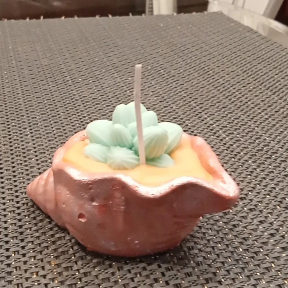 Frosted Peach Concrete Seashell Candle